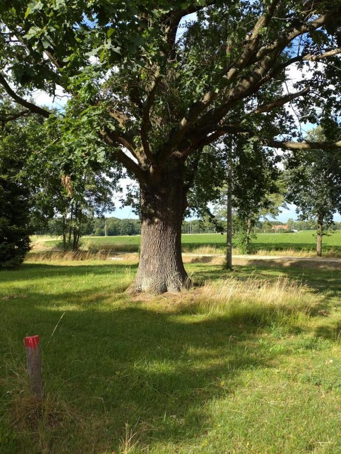 Fewo Wolfseiche Jankendorf Luaran gambar